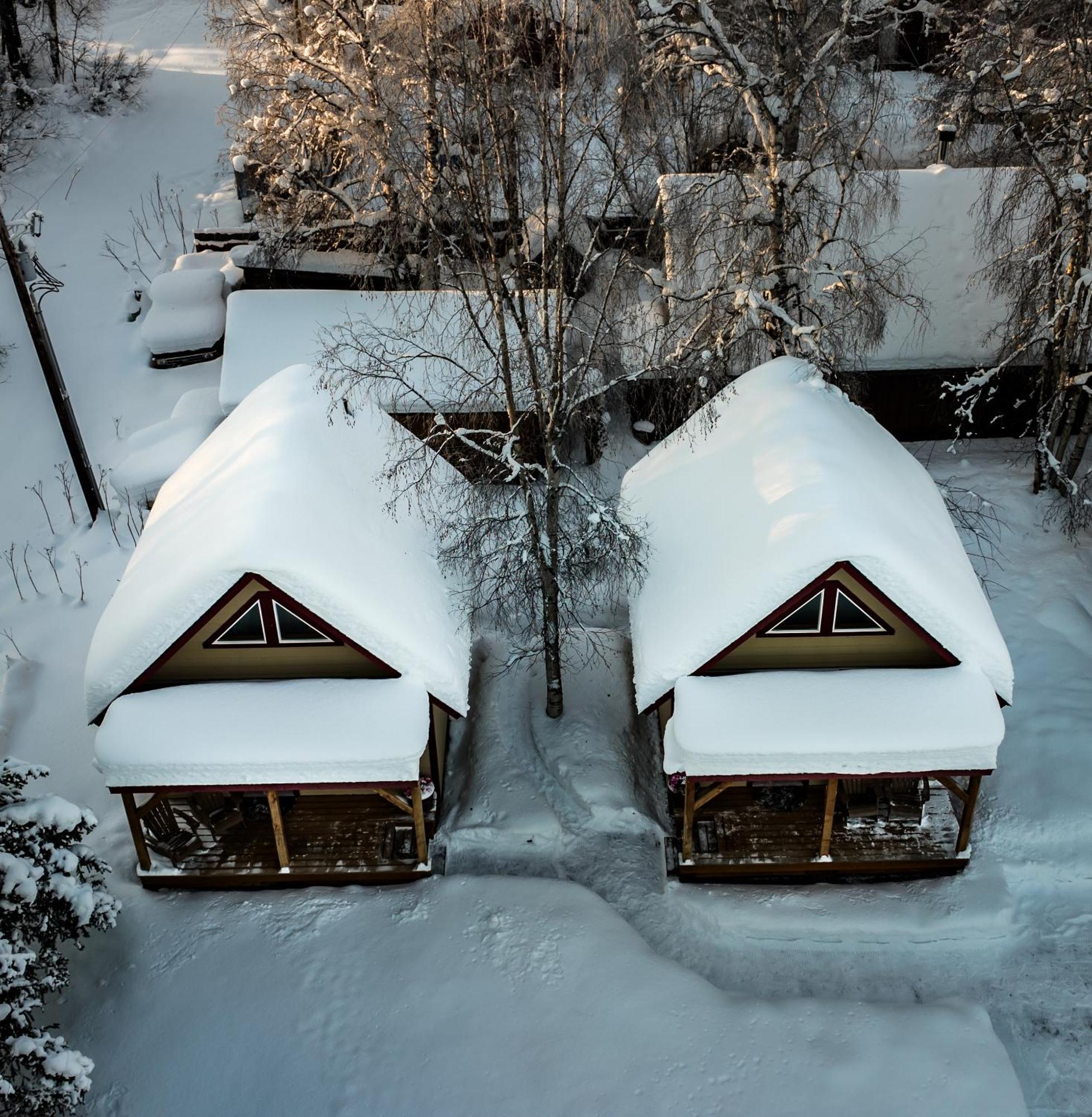 Downtown Talkeetna Cabin! Susitna Cabin Eksteriør billede